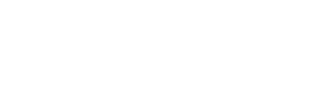Five Star Real Estate Agent